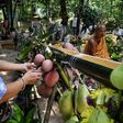 At a temple north of Bangkok worshippers poured water down a bamboo tube to a waiting monk, to maintain  social distancing