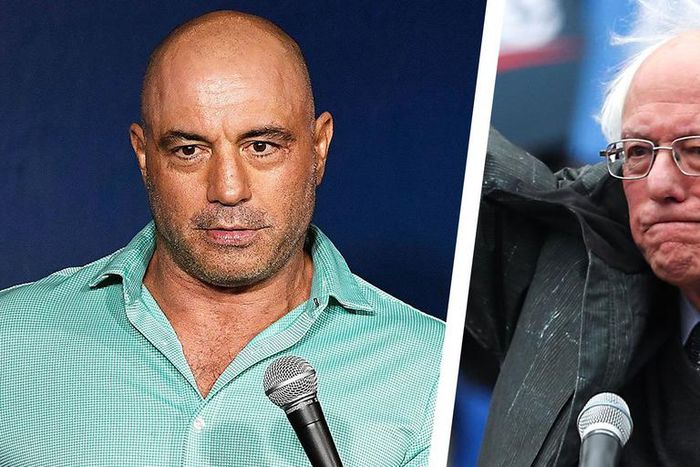 Joe Rogan Says He’s Voting for Bernie Sanders