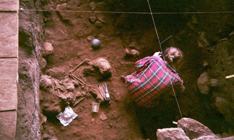 Ancient DNA from West Africa Adds to Picture of Humans' Rise