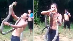 Snake charmer killed by savage king cobra bite while showing off 'magic skills'