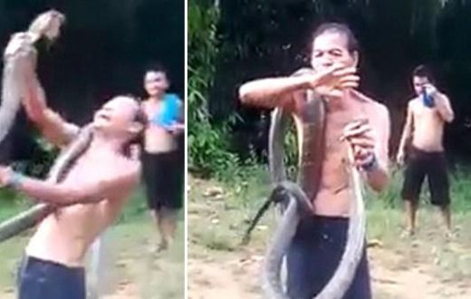 Snake charmer killed by savage king cobra bite while showing off 'magic skills'