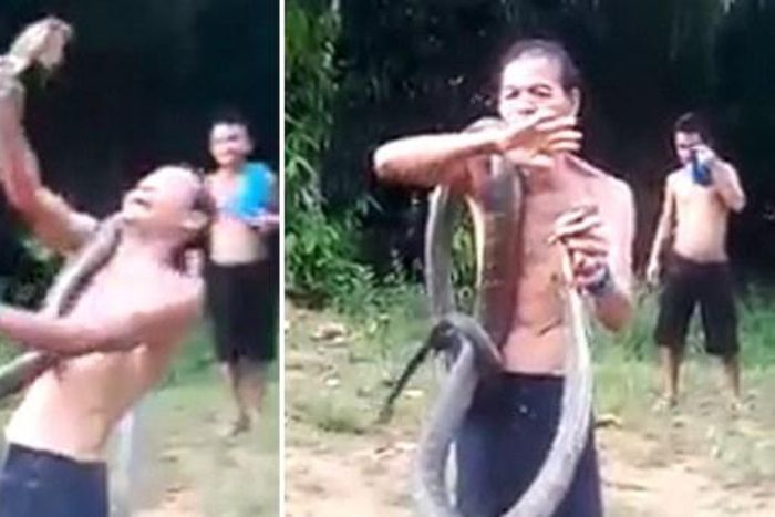 Snake charmer killed by savage king cobra bite while showing off 'magic skills'