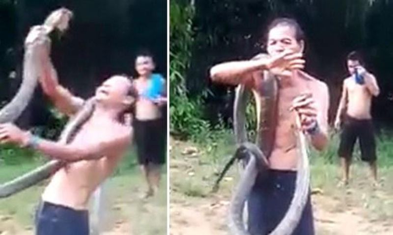 Snake charmer killed by savage king cobra bite while showing off 'magic skills'