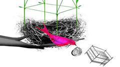 What to Do With Your Empty Nest?