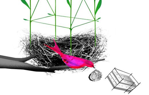 What to Do With Your Empty Nest?