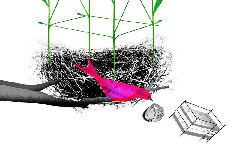 What to Do With Your Empty Nest?