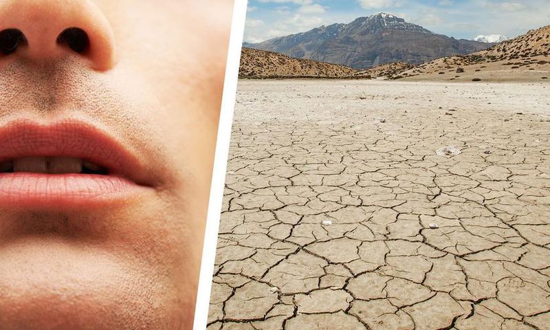 Why You Have a Dry Mouth—and How to Fix It