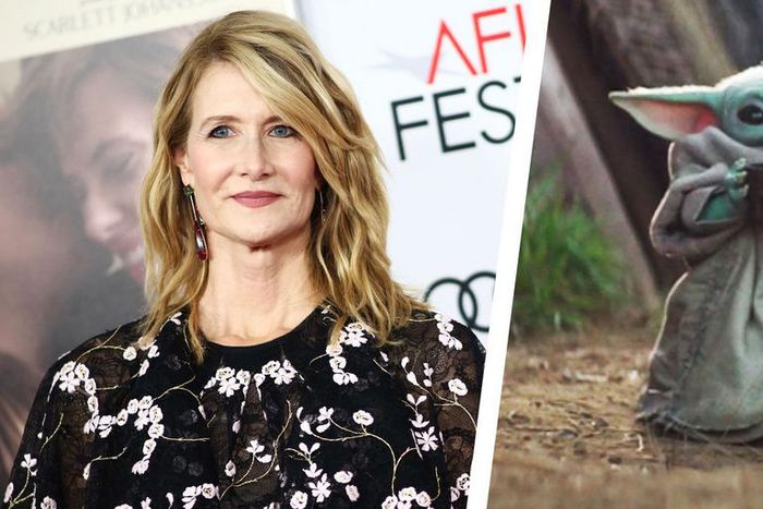 Laura Dern Says She Saw Baby Yoda at an NBA Game