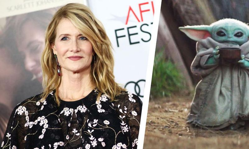 Laura Dern Says She Saw Baby Yoda at an NBA Game