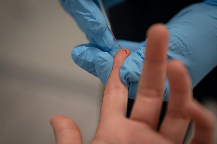 Will an Antibody Test Allow Us to Go Back to School or Work?