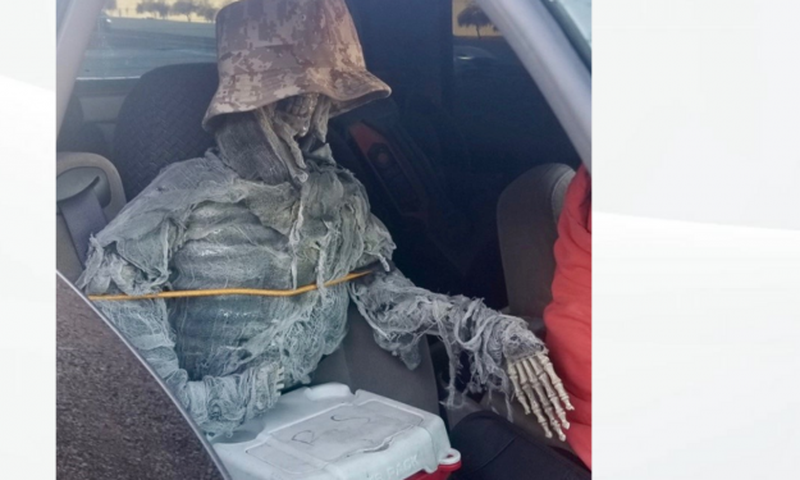 Driver arrested and fined for using ‘skeleton’ as a passenger to mislead police