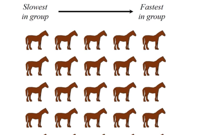 Try and Solve the '25 Horses' Viral Math Challenge