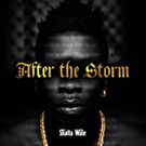 After the Storm by Shatta Wale