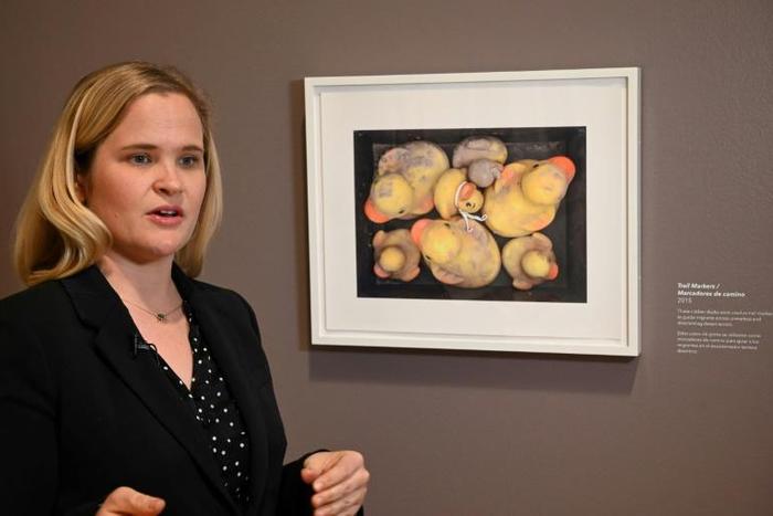 Curator Laura Mart highlights a photograph of rubber ducks, some caked in mud -- a seemingly sentimental choice, but with a pragmatic purpose