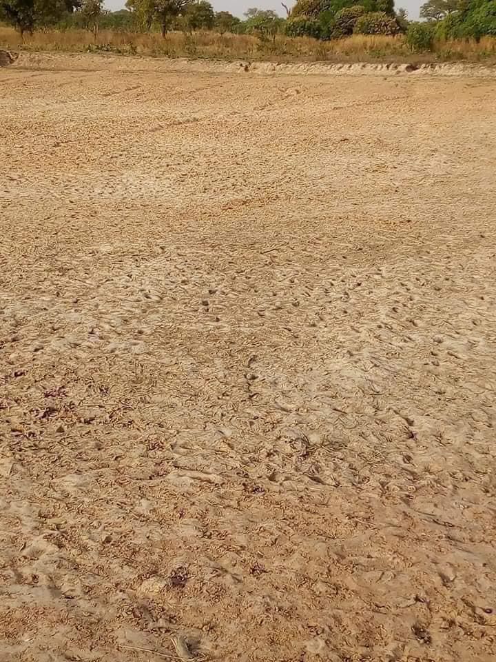 One Village One Dam