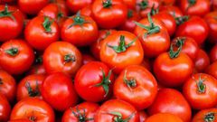 Wenchi Tomato Factory (Credit: Jonathan Colon)