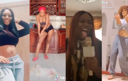 Ghanaian celebrities on TikTok