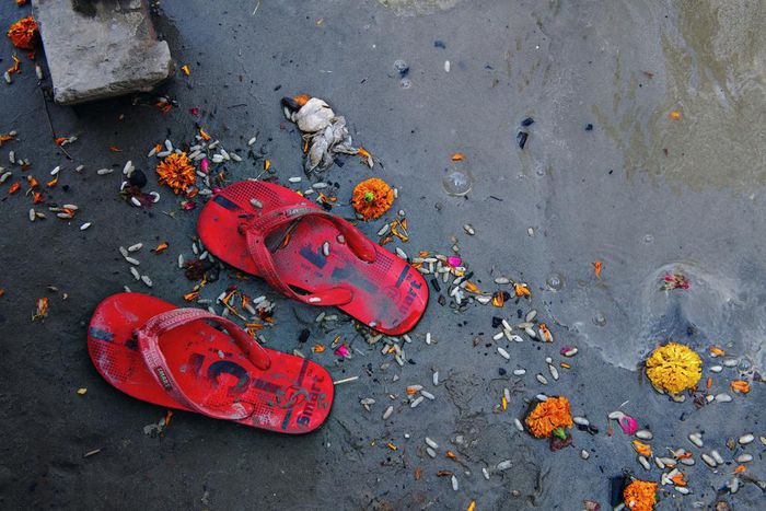 The Ganges Brims With Dangerous Bacteria