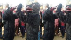 Villagers dress up like beers to scare away over 2000 monkeys