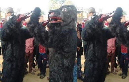 Villagers dress up like beers to scare away over 2000 monkeys