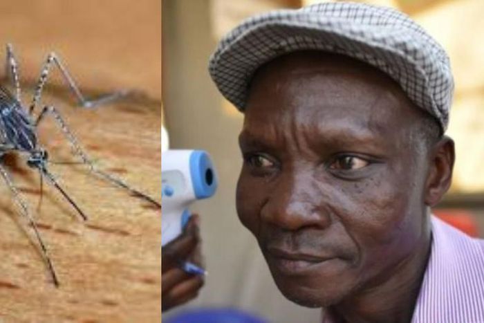 Man whose fart kills mosquitoes has been hired to produce belly gas for repellent