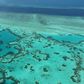 Warmer seas caused by climate change have damaged the health of the Great Barrier Reef, the world's largest coral system