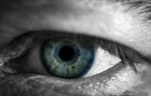 Blind man who couldn't see for 20 years regains eyesight after being hit by car