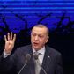 Erdogan said peace efforts  after the January ceasefire 'should not be sacrificed to the ambitions of blood and chaos merchants'