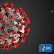 A crowdsourced computing project aims to find pockets or "holes" in the coronavirus which can be attacked with drugs