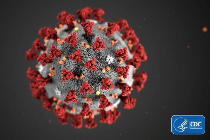 A crowdsourced computing project aims to find pockets or "holes" in the coronavirus which can be attacked with drugs