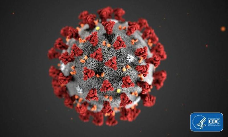 A crowdsourced computing project aims to find pockets or "holes" in the coronavirus which can be attacked with drugs