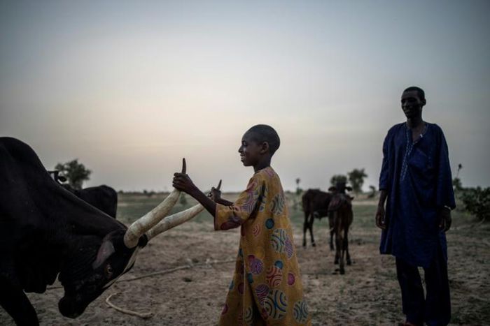 Violence has soared as criminal gangs involved in cattle rustling and kidnapping have carried out bloody raids