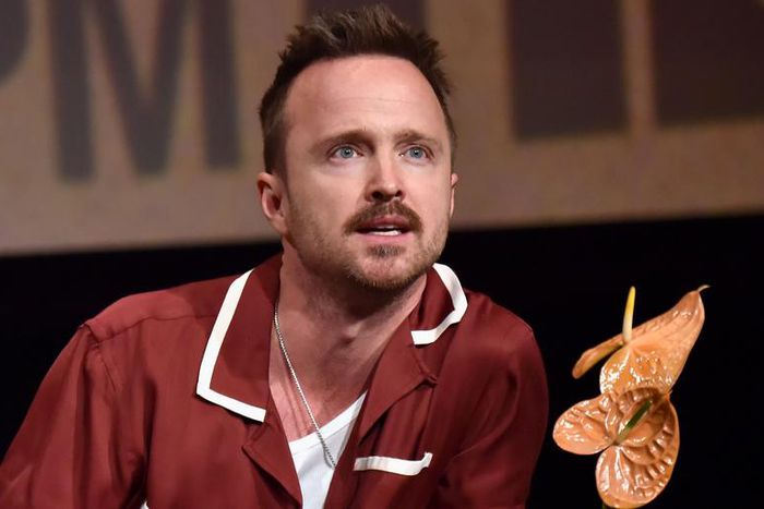 Aaron Paul Is Interested in Playing Kurt Cobain