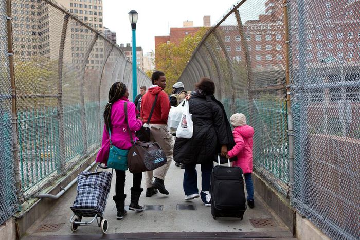 A Storm Expert's View: What Lessons Can We Apply From Hurricanes to the Coronavirus?