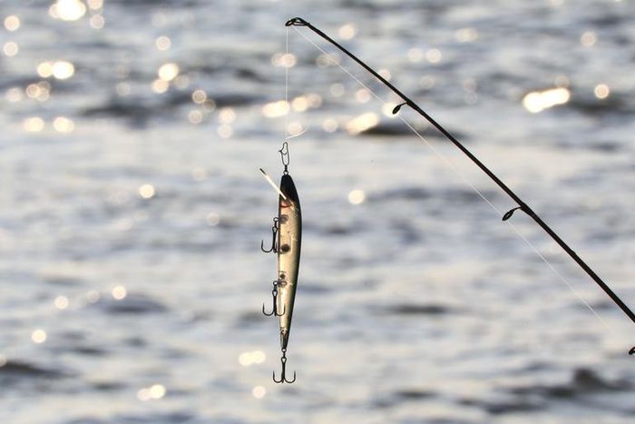 Dr. Pimple Popper Squeezes Mini 'Bait' Lipoma