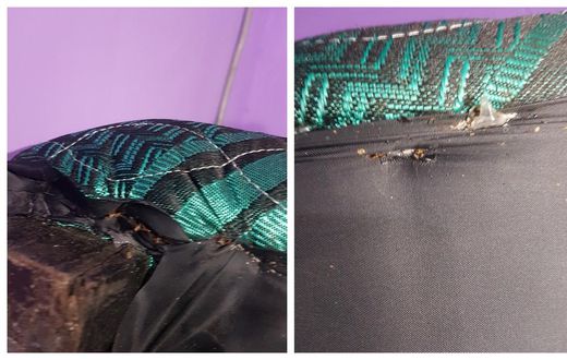 Ashfoam Ghana blocks customer on Twitter for reporting their mattress contains bedbugs