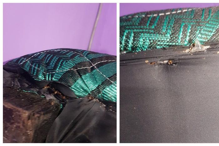 Ashfoam Ghana blocks customer on Twitter for reporting their mattress contains bedbugs