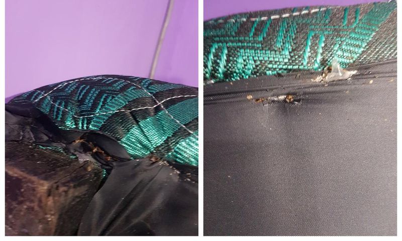 Ashfoam Ghana blocks customer on Twitter for reporting their mattress contains bedbugs