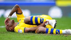Andre Ayew injured