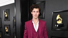 Shawn Mendes