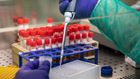 Where Did Novel Coronavirus Originate?