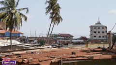 Accra: Municipal Assembly to cut down ‘disturbing’ coconut trees in Mamobi