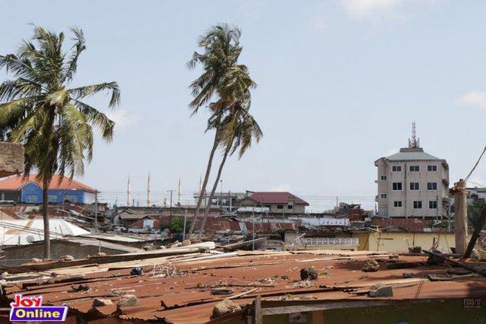 Accra: Municipal Assembly to cut down ‘disturbing’ coconut trees in Mamobi