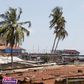 Accra: Municipal Assembly to cut down ‘disturbing’ coconut trees in Mamobi