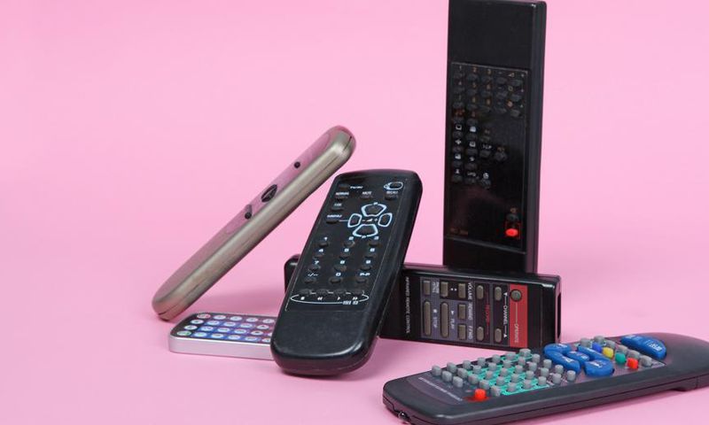 The 15 Best Remote-Control Vibrators Of 2020