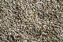 The 12 Healthiest Whole Grains To Eat, According To Nutritionists