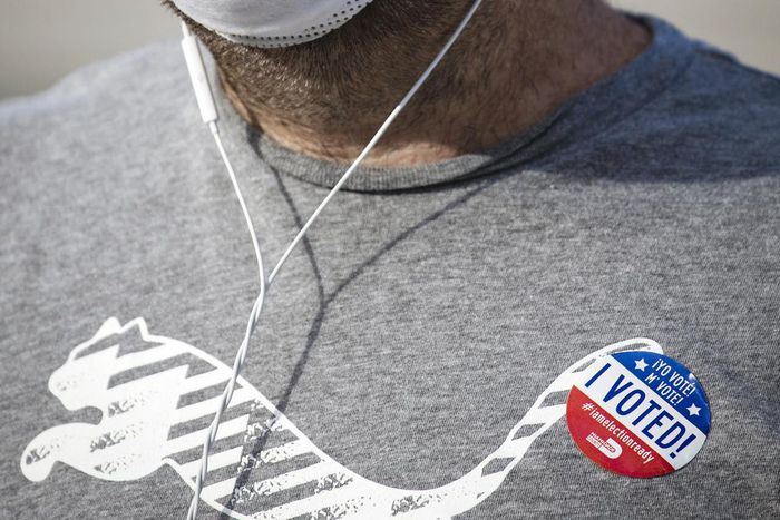 Biden Wins Florida and Illinois as Virus Disruptions Reshape American Politics