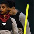 Liverpool striker Rhian Brewster has joined Swansea on loan till the end of the season