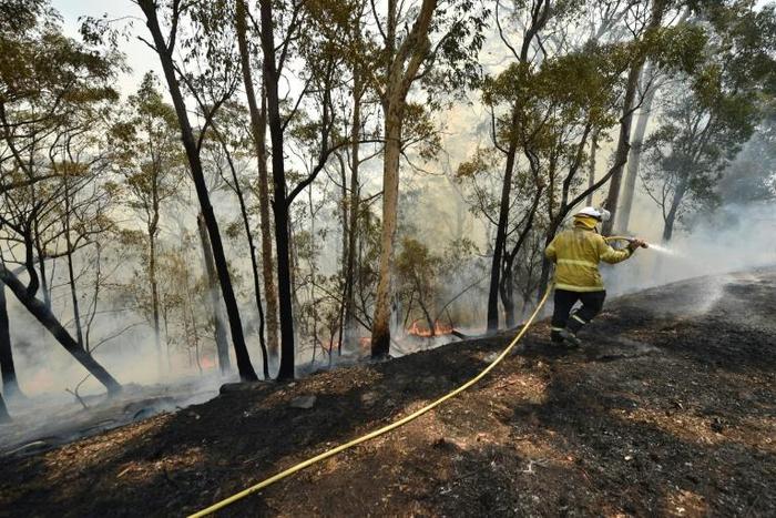 Firefighters tackle a bushfire near Batemans Bay in New South Wales