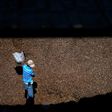 Coffee prices in commodity markets have dropped dramatically